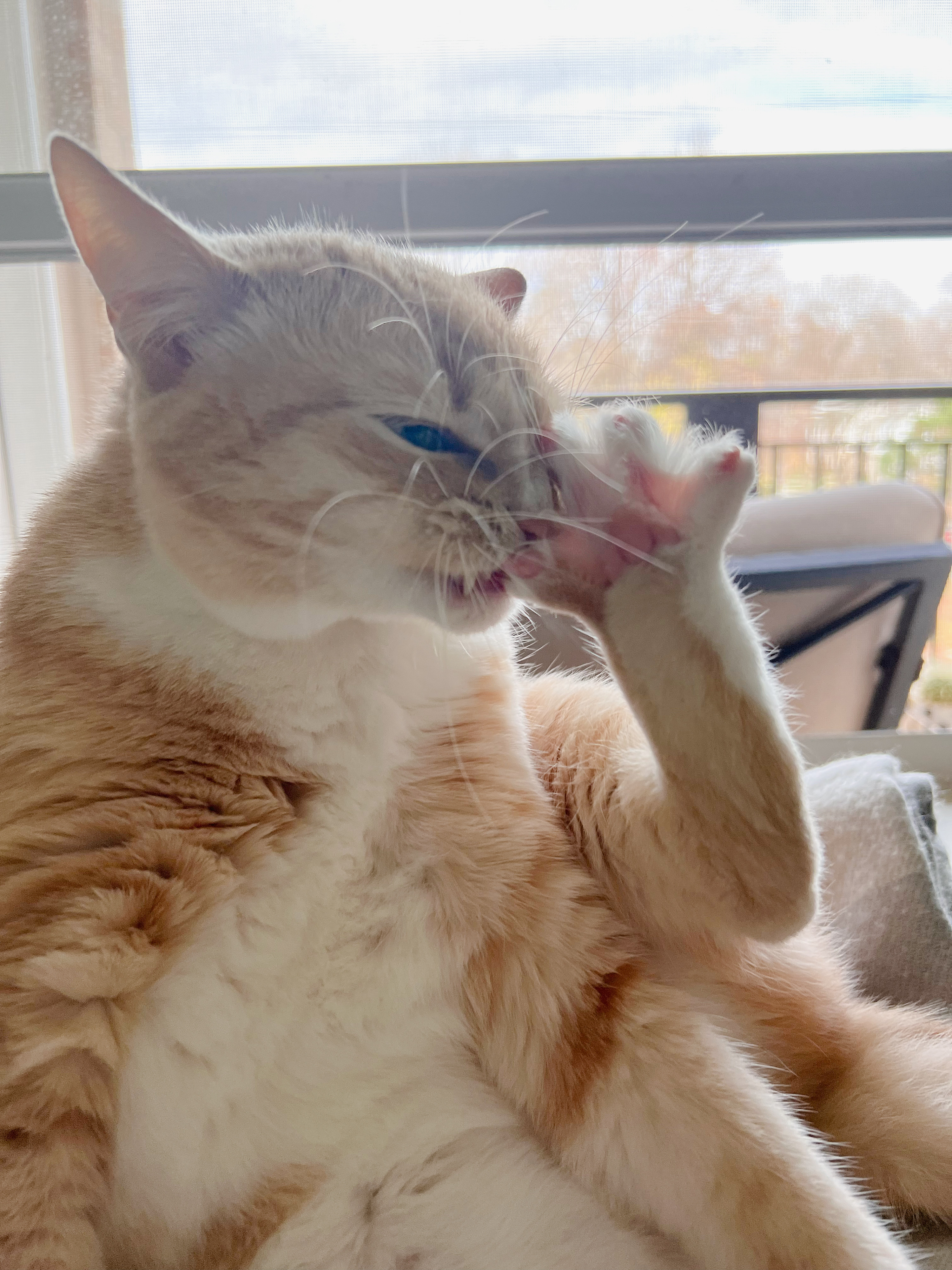 Lick